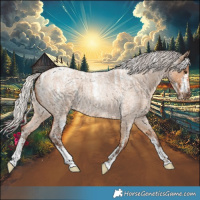 Horse Color:Powder White Silver Bay Roan Dun 