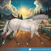 Horse Color:Silver Bay Roan Dun 