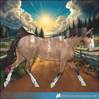 Horse Color:Powder White Bay Dun 