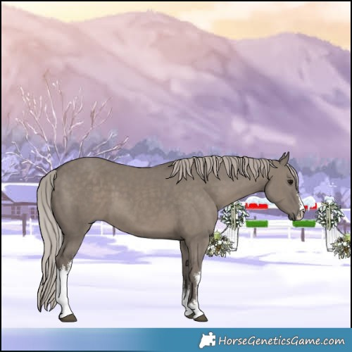 Horse Color:White Spotted Silver Grullo 