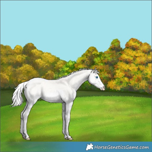 Horse Color:Silver Smoky Creme Sabino Splash Tobiano 