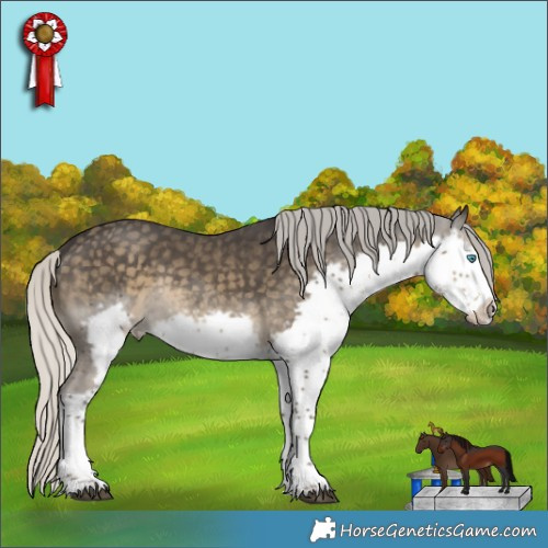 Horse Color:Silver Smoky Black Splash Frame Rabicano 