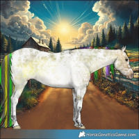 Horse Color:Painted Brown Ice Dun Tobiano 