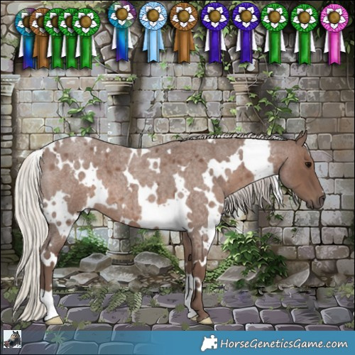 Horse Color:White Spotted Silver Blue Roan 