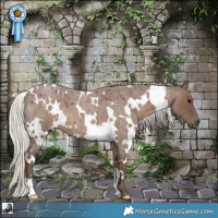 Horse Color:White Spotted Silver Blue Roan 