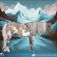 Horse Color:White Spotted Silver Blue Roan 