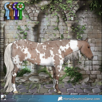 Horse Color:White Spotted Silver Blue Roan 
