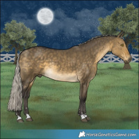 Horse Color:Silver Buckskin Dun Rabicano 