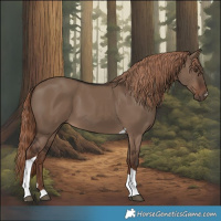 Horse Color:Liver Red Dun Tobiano 