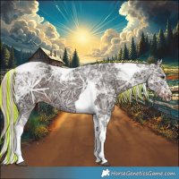 Horse Color:Painted Liver Chestnut Ice Tobiano 