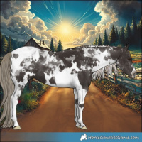 Horse Color:White Spotted Liver Chestnut Tobiano 