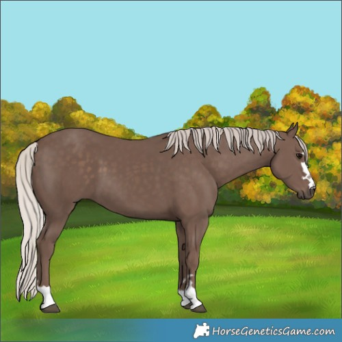 Horse Color:Silver Black 