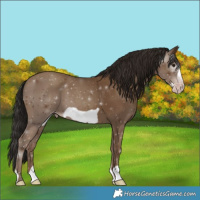 Horse Color:Gray Classic Champagne Frame