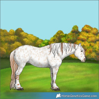 Horse Color:Red Dun Leopard  and Red Dun Leopard 