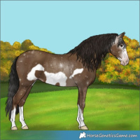 Horse Color:Gray Classic Champagne Frame 