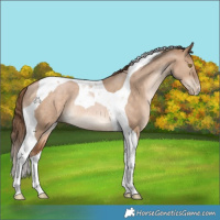 Horse Color:Brown Pearl Dun Tobiano Rabicano 