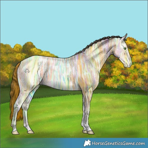 Horse Color:Amber Cream Champagne Ice Tobiano 