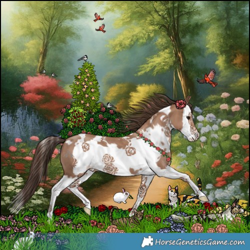 Horse Color:White Spotted Classic Champagne Splash Frame