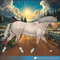 Horse Color:Silver Bay Roan Dun
