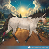 Horse Color:Bay Roan Dun 