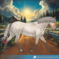 Horse Color:Silver Bay Roan Dun 