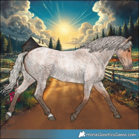 Horse Color:Silver Bay Roan