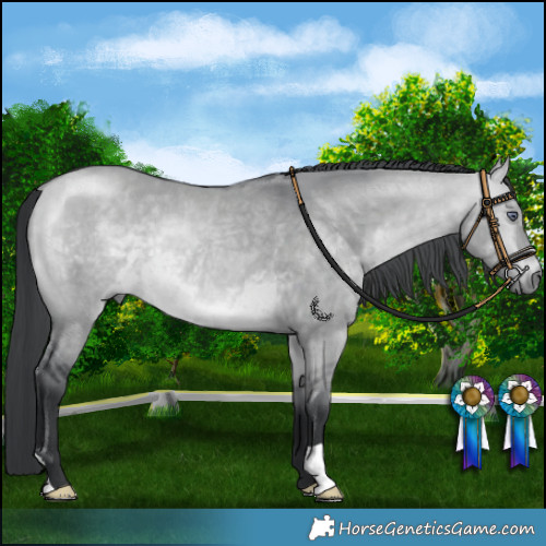 Horse Color:Bay Chinchilla Dun Rabicano 