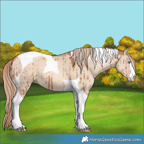 Horse Color:Gold Champagne Dun Tobiano Brindle 