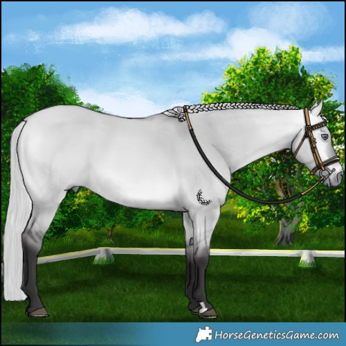 Horse Color:Silver Buckskin Chinchilla Dun 