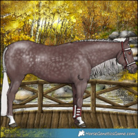 Horse Color:Chocolate Silver Black Chinchilla 