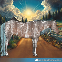 Horse Color:Painted White Spotted Liver Chestnut Ice 