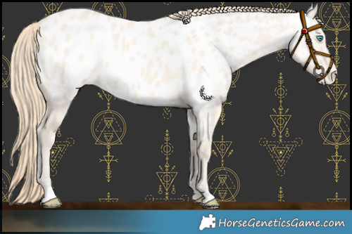 Horse Color:Perlino Dun Near Leopard 