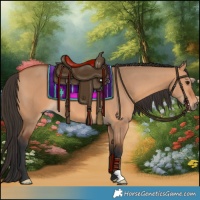 Horse Color:Bay Dun