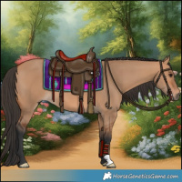 Horse Color:Bay Dun