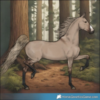 Horse Color:Liver Red Dun Frame 