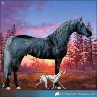 Horse Color:ERROR: UNKNOWN ANOMALY