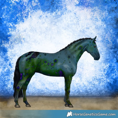 Horse Color:ERROR: UNKNOWN ANOMALY