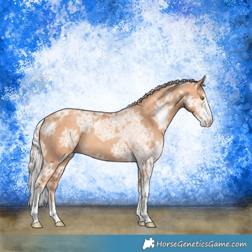 Horse Color:Silver Amber Champagne Ice Sabino 