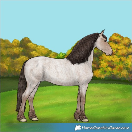 Horse Color:Classic Champagne Roan 