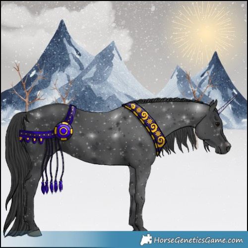 Horse Color:Black 