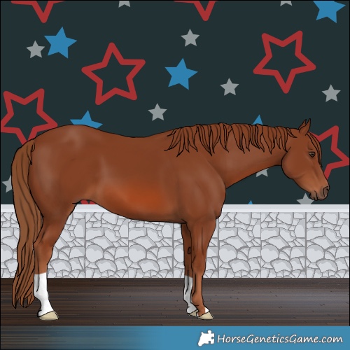 Horse Color:Chestnut 