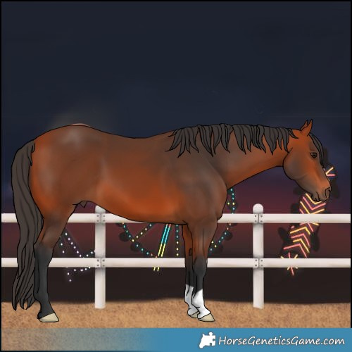 Horse Color:Bay 