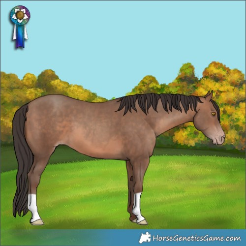 Horse Color:Sable Champagne 
