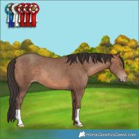 Horse Color:Sable Champagne 