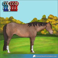 Horse Color:Sable Champagne