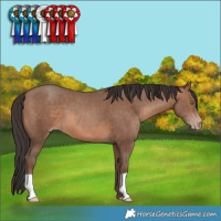 Horse Color:Sable Champagne 