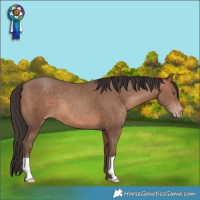 Horse Color:Sable Champagne 
