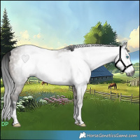 Horse Color:Gray Brown Dun Frame Rabicano