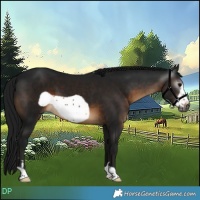 Horse Color:Gray Brown Frame