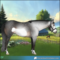 Horse Color:Gray Brown Frame 